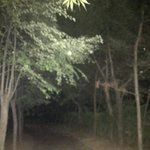 [TXT] ㅅㄷ 이 <b>밤</b>에 <b>산책</b>하러 잠깐 나갔었는데