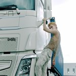 [NCT즌] 확실히 텐이 <b>추구</b>하는거랑