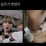 [군대] 애<b>옹</b>이 ㄱㅇㅇ