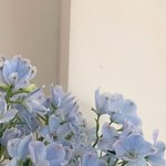 [댓글부탁해] 본진 적고 가면 <b>최애멤</b> 적어줌