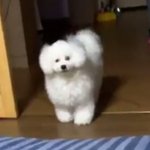 <b>에리</b> 없노?