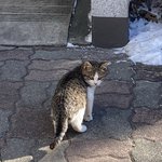 아 겨울 마려워서 <b>캐롤</b> 듣는다