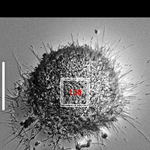 [댓글부탁해] 개좋은 팝송 추천좀