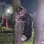 [아이돌] 씹덕들아 하나 물어보자