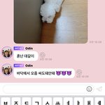 [NCT즌] 헐 대갈이 혼낫대 ㅠㅠ