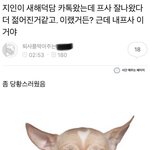 [드루와] +)안흔한 짤털한다