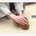 [모두드루와] <b>동물</b>한테도 다정한 정국이