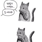 이수만 <b>가지마</b> 이수만 <b>가지마</b> 이수만 <b>가지마</b>
