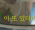 [스키즈] 타이틀 곡 배경 <b>바다</b>야?