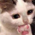 [댓글부탁해] 나 수지<b>닮음</b>