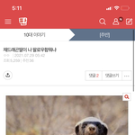 [댓글부탁해] 애들아 짝남이 너 번호따려는데