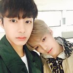 <b>몬엑</b>은 유사도 알페도