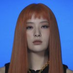 슬기 <b>이사진</b> 보고