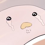 ㅅㅂ 나 어떡하냐 조졌어