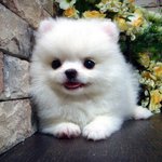 [드루와] 너네 약간 애매한 딱복 아냐