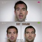 [방탈죄송] 고설탕 식단 <b>vs</b> 고지방 식단