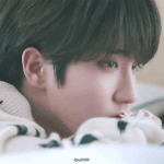 [스키즈] <b>한</b>이 짤 더 <b>줄</b>사람 ㅠㅠ
