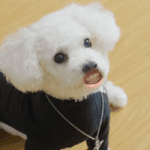 [댓글부탁해] 얘들아 실수로 <b>학원</b> 째버렸는데 <b>어</b>캄