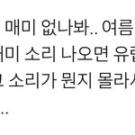 이거 봐 <b>개신</b>기해