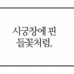 [19] 근데 판녀들한테 까이는 건