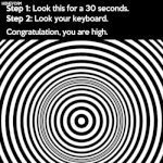 아침인데 <b>매미</b> 전나 우네