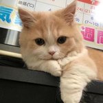 [드루와] 내 썸남 ㅋㅋㅋ 어제 나랑 길 걷다가