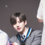 [펜타곤] <b>세계</b> 고양이의 날