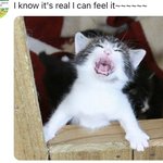 [TXT] 내 기준 완전 <b>십덕</b>짤