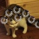 [드루와] 리뷰이벤트 궁금한 거 있음 ㅈㅂ ㅜ