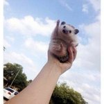 <b>따봉</b>도치야 고마워~