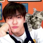 [NCT즌] <b>남들</b>이 다 토끼래도