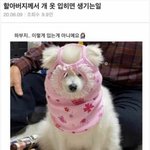 인스타 잘<b>알들</b>아