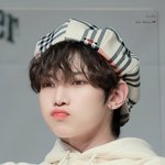 [에이티즈] 말티즈 <b>자바</b>머거 쿠와왕