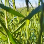 [에이티즈] 놈 야물딱져ㅋㅋㅋㅋㅋ