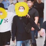 슈가 뭐임