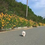 <b>예사</b>에서 책 3권 시켯는데