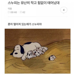 [댓글부탁해] 친구한테 정 떨어졌는데 내가 이상한건가