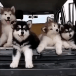 [<b>YG</b>] 그런데 이게