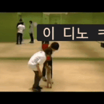 [세븐틴] 이 움짤 무슨 <b>영상</b>인지 알아?