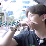 아까운 내 <b>밤비</b>