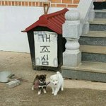 [더보이즈] 아 <b>겁나</b> 귀여웡 ㅠㅠ