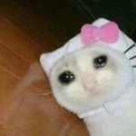 나 지금 돌아버릴것 같애