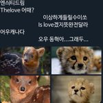 [NCT즌] 히얼 <b>이즈</b> 코리아 매앤~~~~