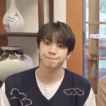 [펜타곤] <b>예의범절</b> 고양이