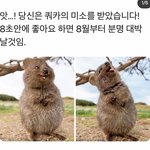 [19] 판남들아 어느가슴 <b>사이즈</b>가 좋음?