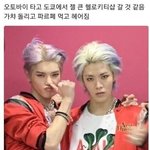 [NCT즌] 둘 다 <b>키티</b>같긴 하네