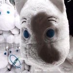 [NCT즌] <b>무민</b>쓰