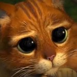 [NCT즌] <b>세계</b>고양이의ㅡ날