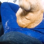 [NCT즌] 고양이 쓰다듬으면 <b>이케</b> 된대