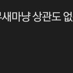 [이것좀봐줘] 한국 페미의 배후는 과연 북한 <b>간첩</b>일까?